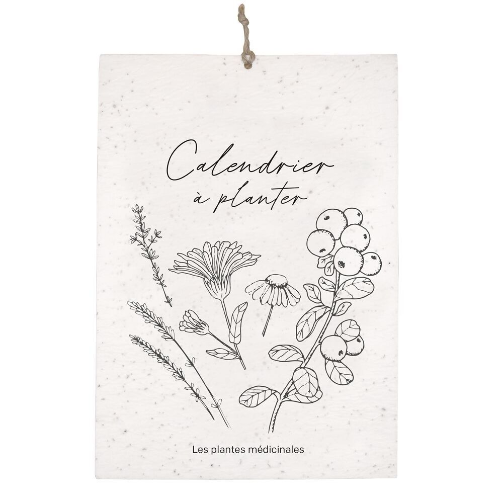 Perpetual Planting Calendar - Medicinal Plants