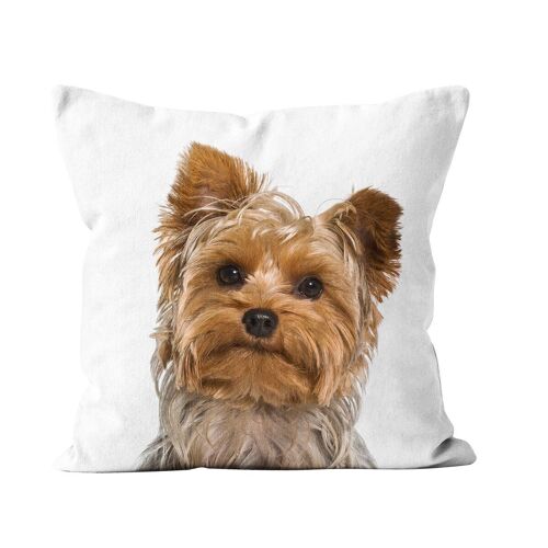Idée cadeau coussin chien Yorkshire