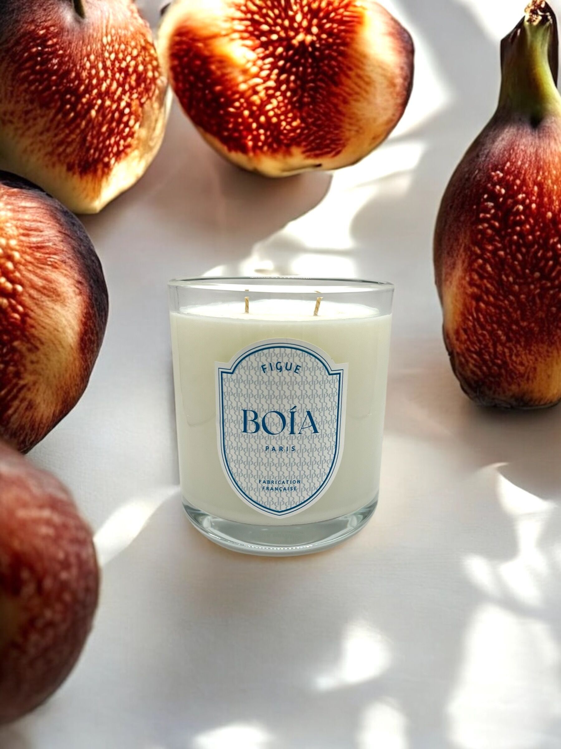 Natural wax candle with Fig fragrance - 2 wicks (370g)