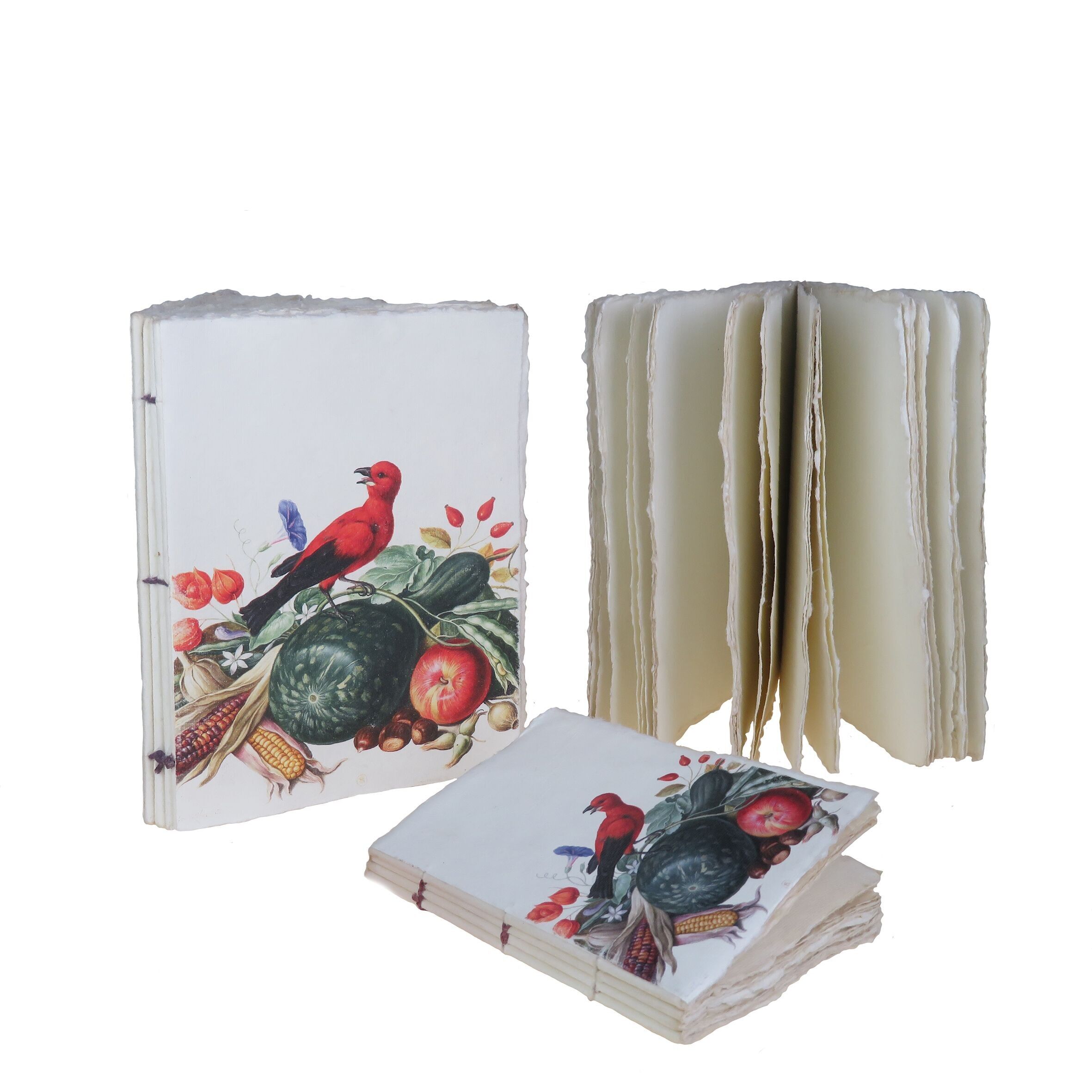 Parchment paper notebook, red bird motif from Brazil (Florilège de Nassau, BNF)