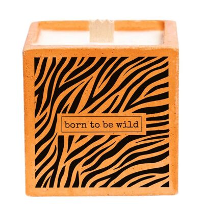 Candela "Born to Be Wild" - Cubo Tigre in cemento colorato I fragranza Monoï