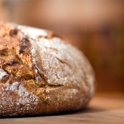 Mix di farine biodinamiche per pane ai 2 farri 5KG
