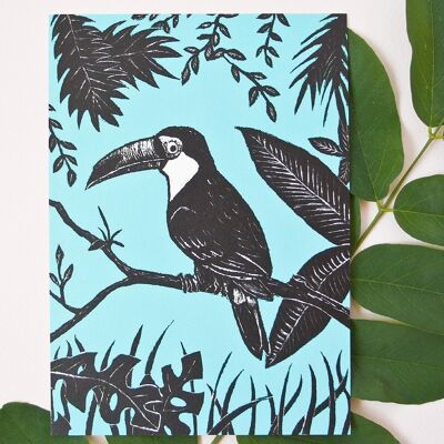 Carte postale | Toucan turquoise