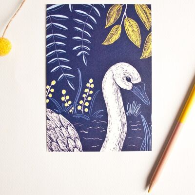 Postcard | swan