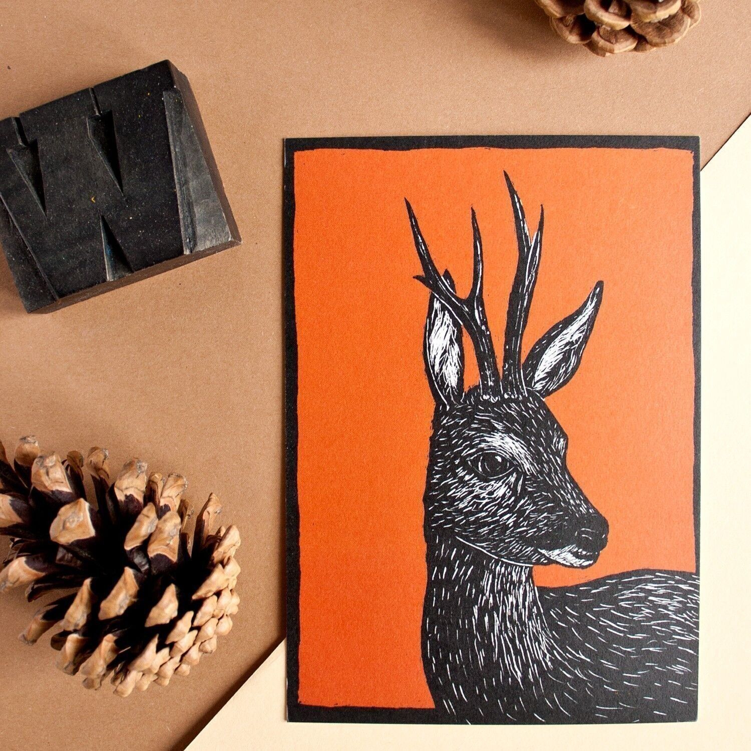 Cartolina | capriolo