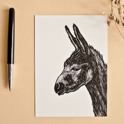 Postcard | Donkey b / w
