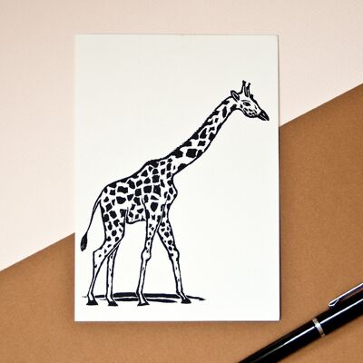 Postkarte | Giraffe A6
