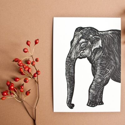Carte postale | Éléphant haut