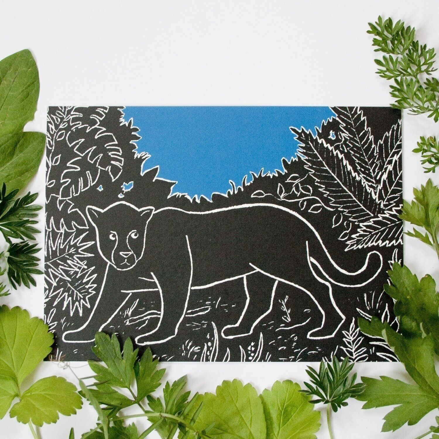 Cartolina | giaguaro