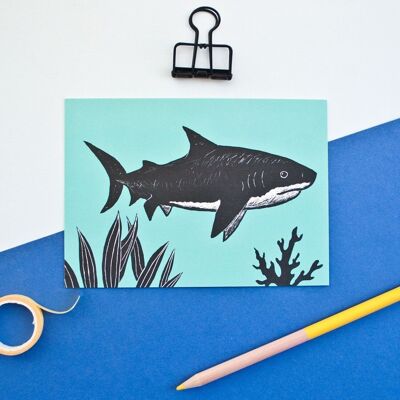 Carte postale | Requin