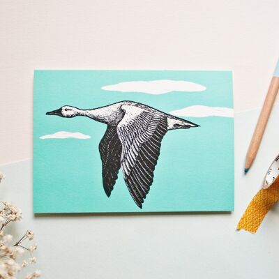 Postcard | Greylag goose