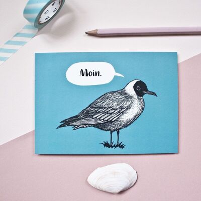 Carte postale | Mouette Bonjour