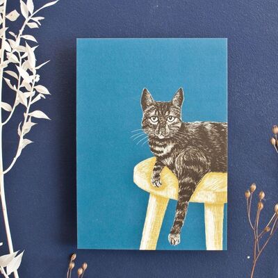 Carte postale | Chat sur tabouret