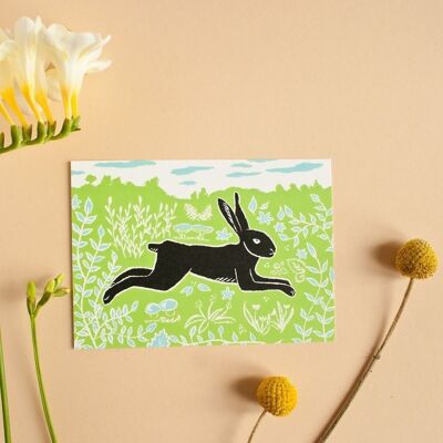 Carte postale | Lapin vert