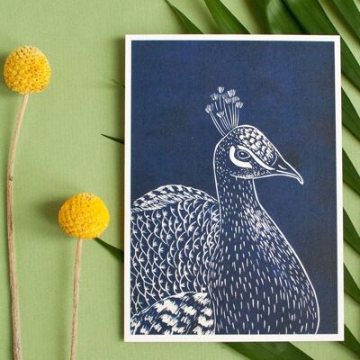 Postkarte | Pfau (von Linoldruck)