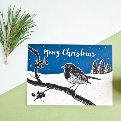 Cartolina di Natale | Robin