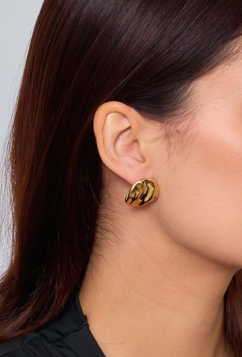 Orecchini in acciaio inossidabile 124AQ20