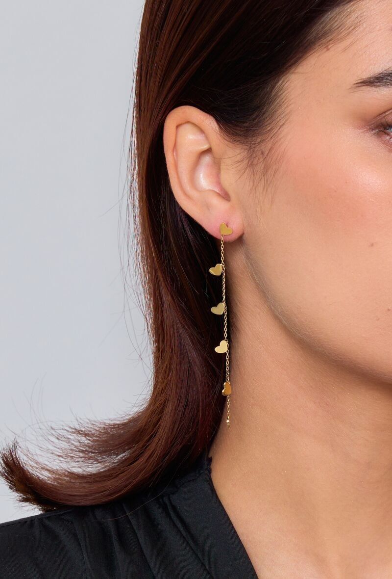 Orecchini in acciaio inossidabile 124AQ25