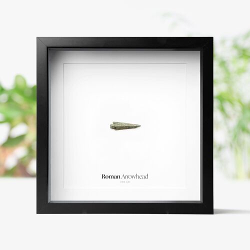 Roman Arrowhead Real Authentic Archaeology Ancient Fossil Museum Quality Shadow Box Frame Wall Art Display Interior Design Home Decor