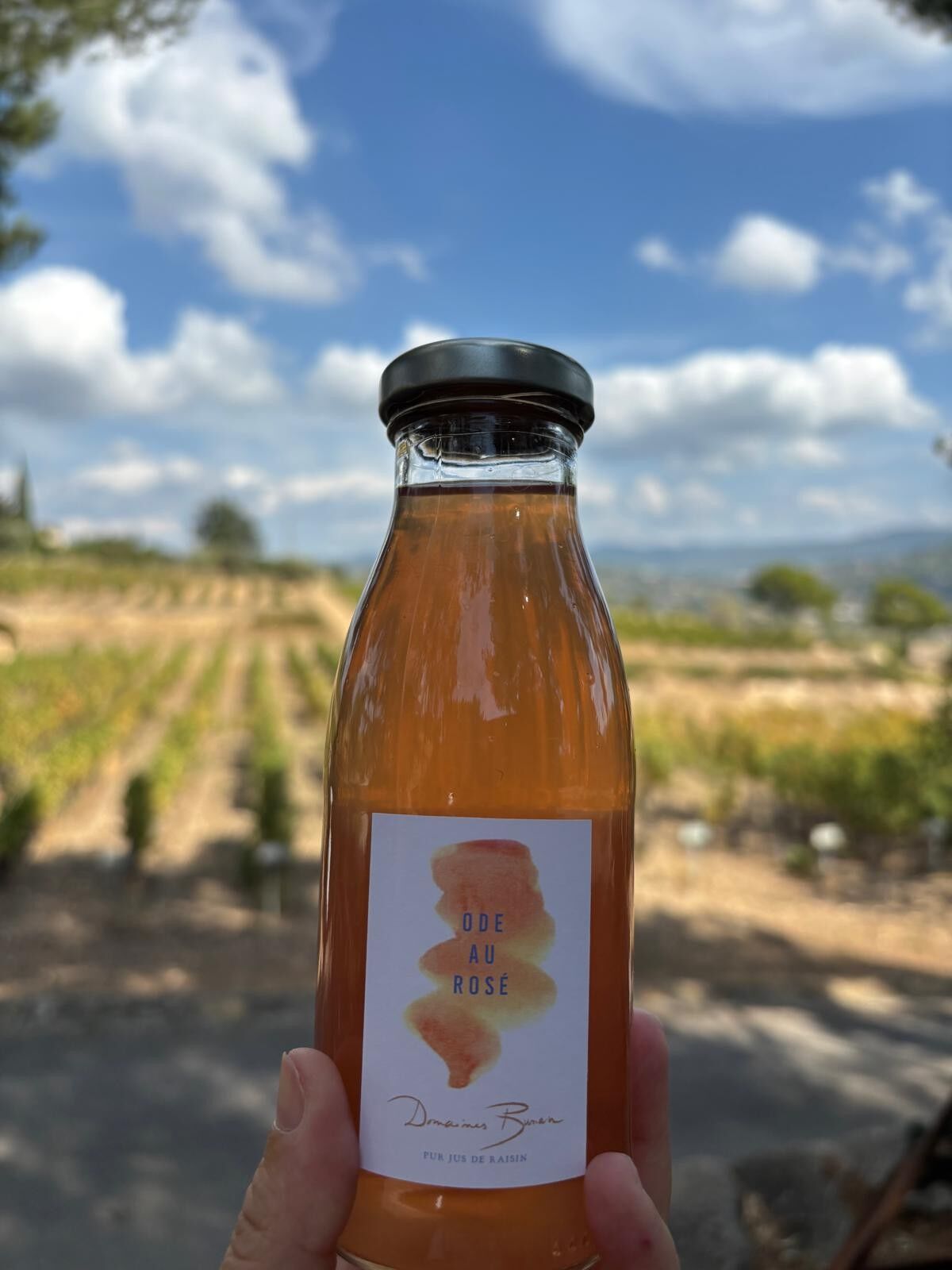 Succo d'uva rosato 25 CL