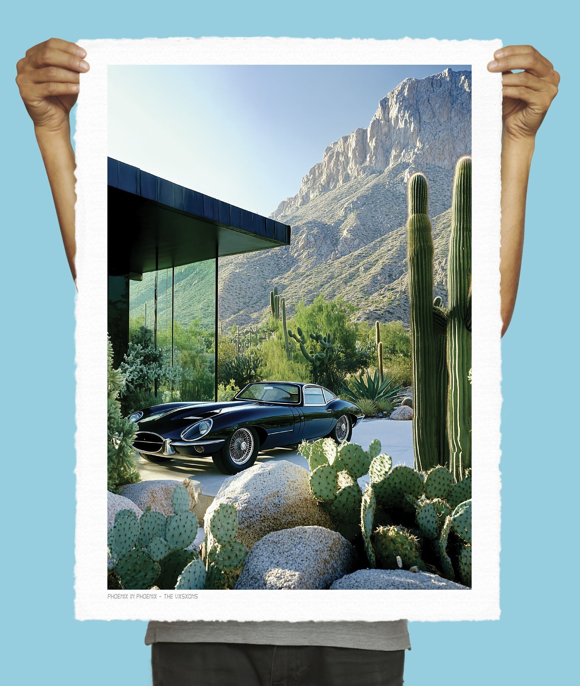 30x40 cm - 014 - Fenice nella Fenice Il Vxsxon