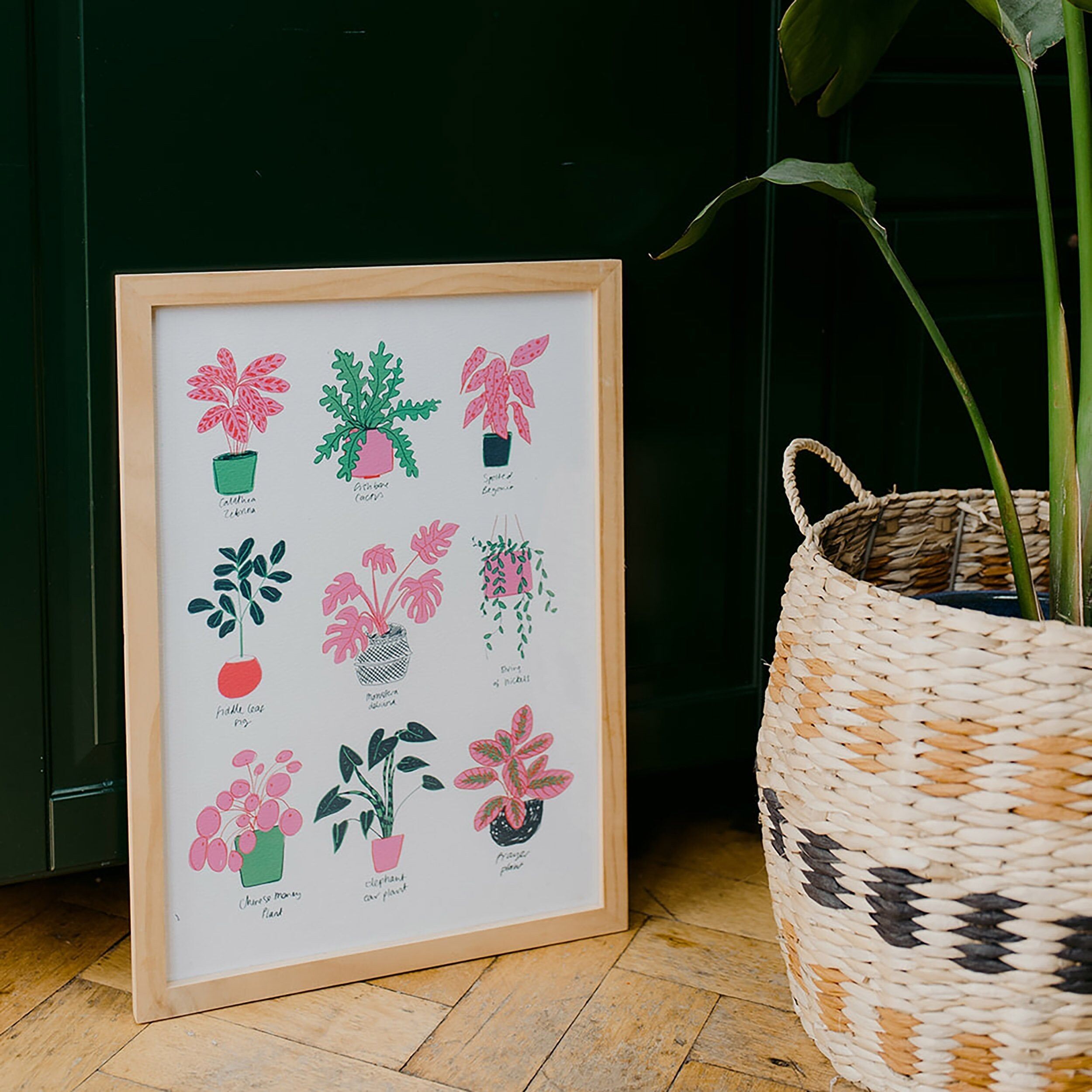 Colección de plantas de interior Lámina artística