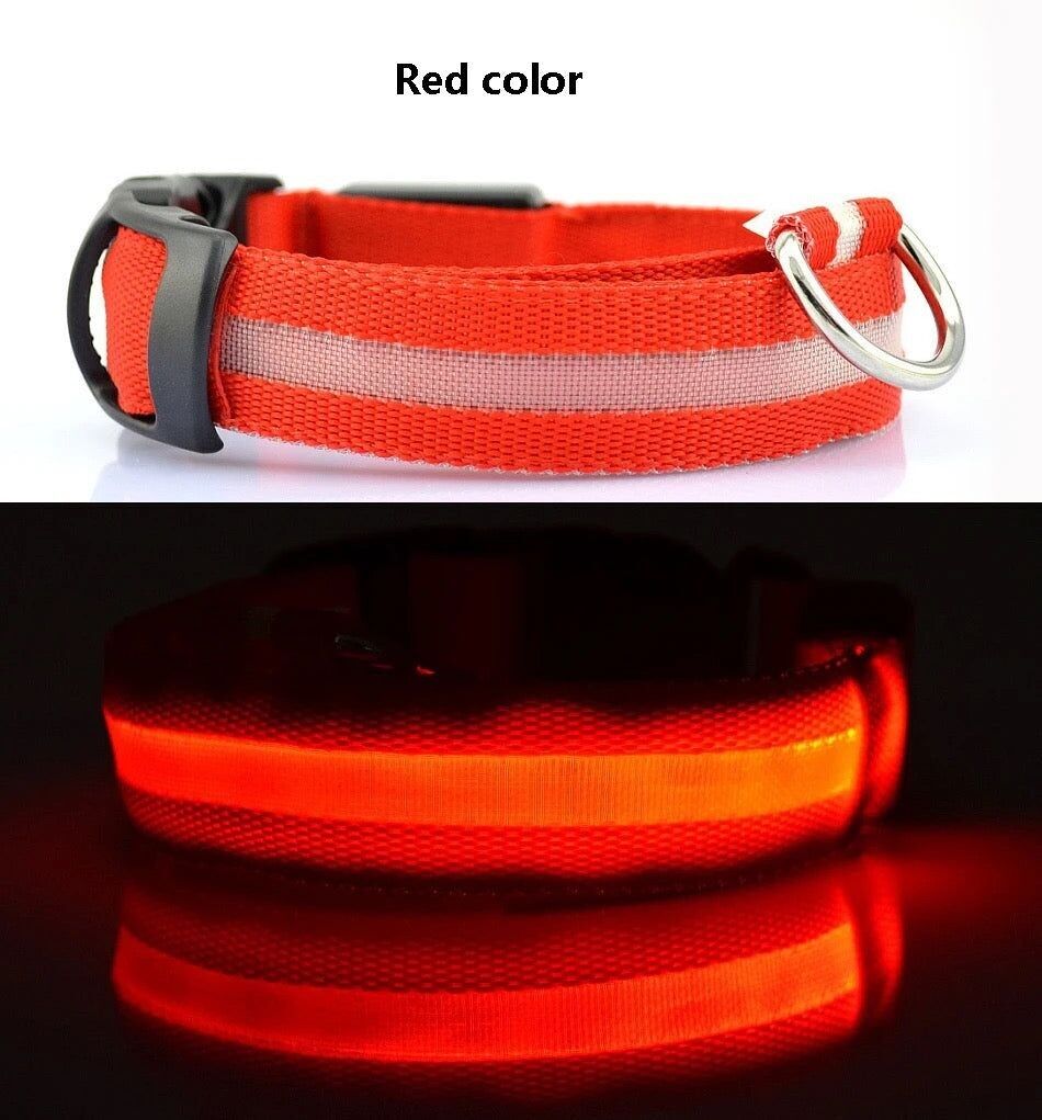LED-Hundehalsband, das im Dunkeln leuchtet/leuchtet – Rot