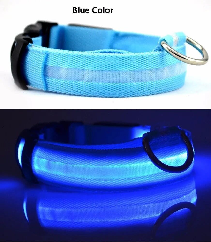 LED-Hundehalsband, das im Dunkeln leuchtet/leuchtet – Blau