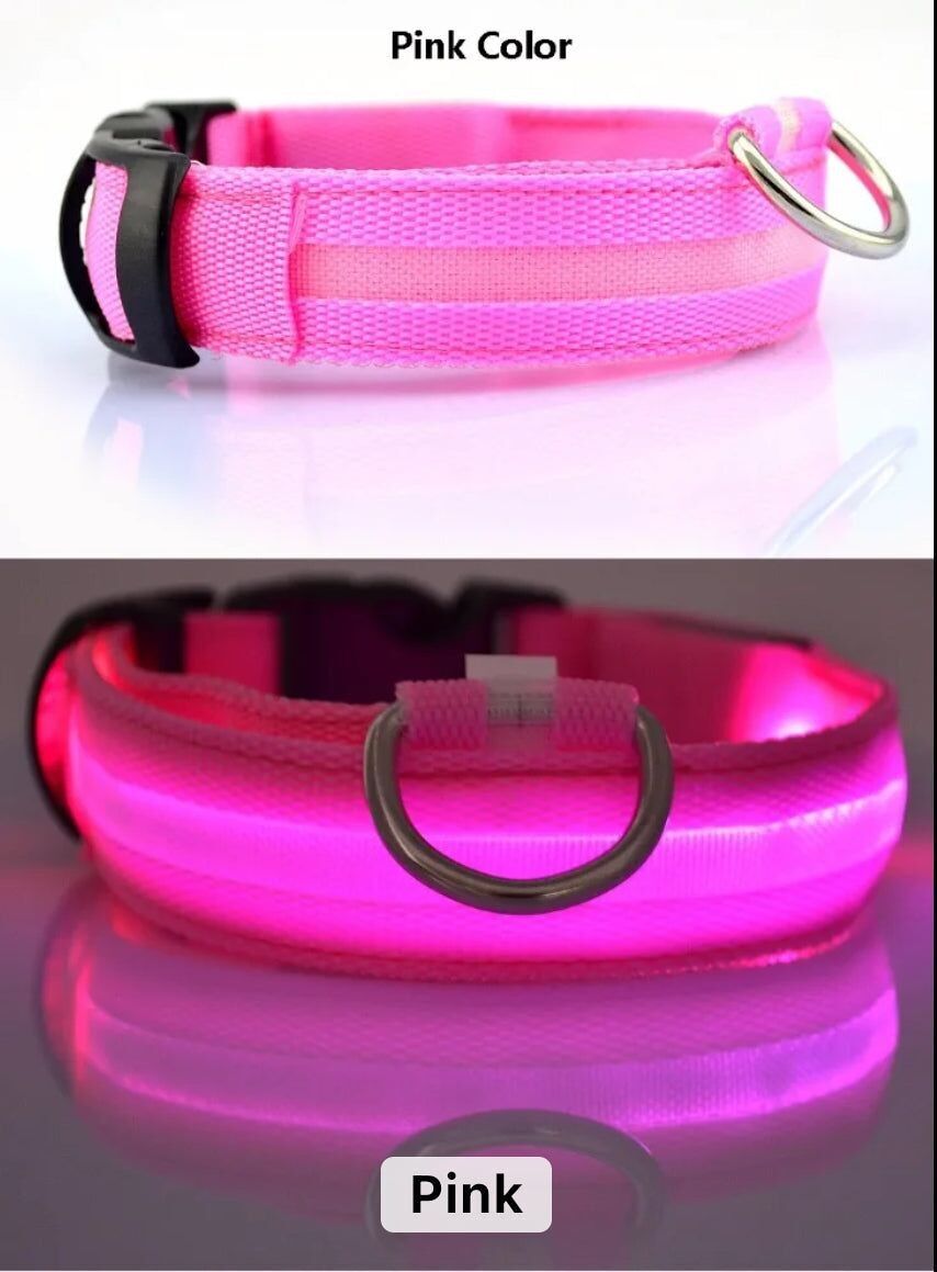 LED-Hundehalsband, das im Dunkeln leuchtet/leuchtet – Rosa