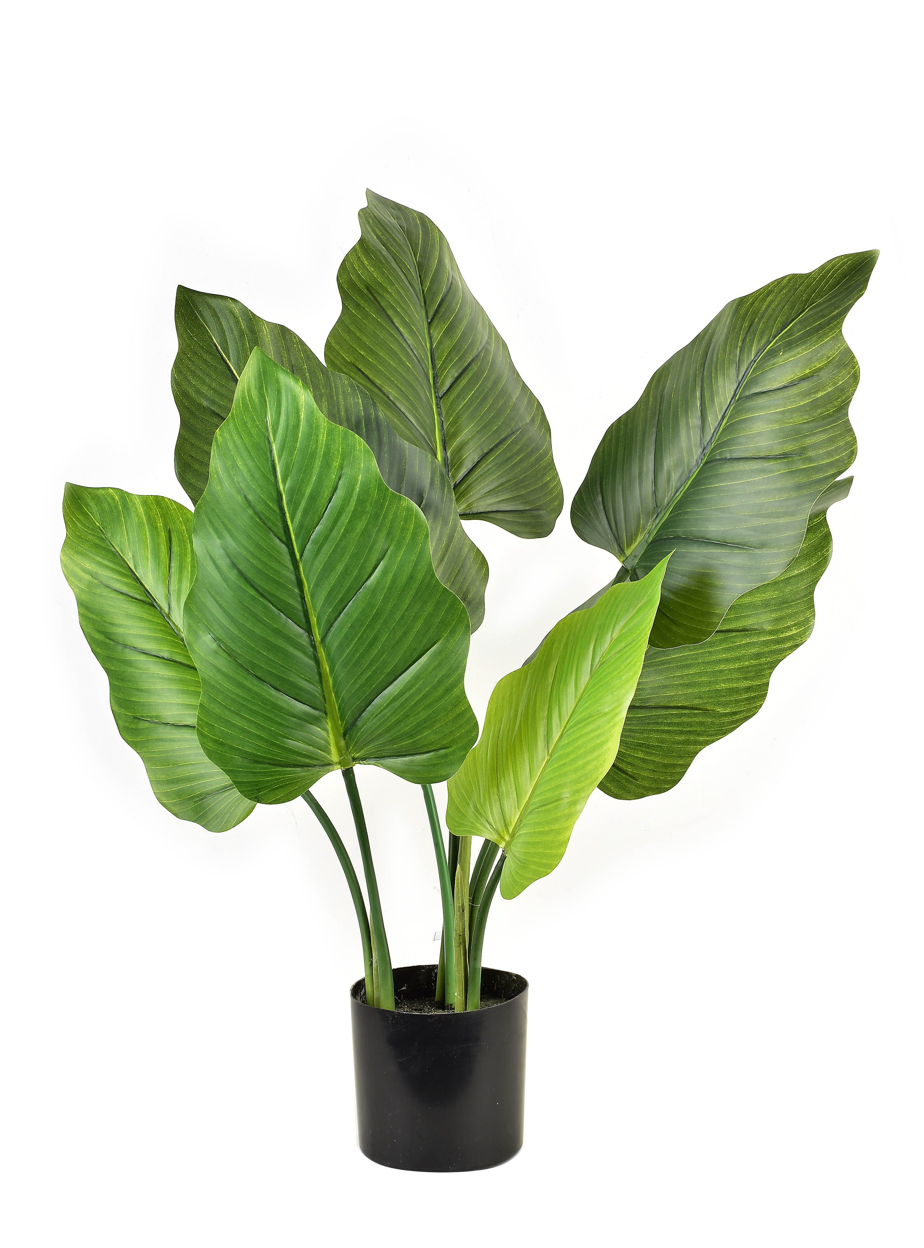 VIRIDIS Fiore artificiale alocasia H65cm in vaso