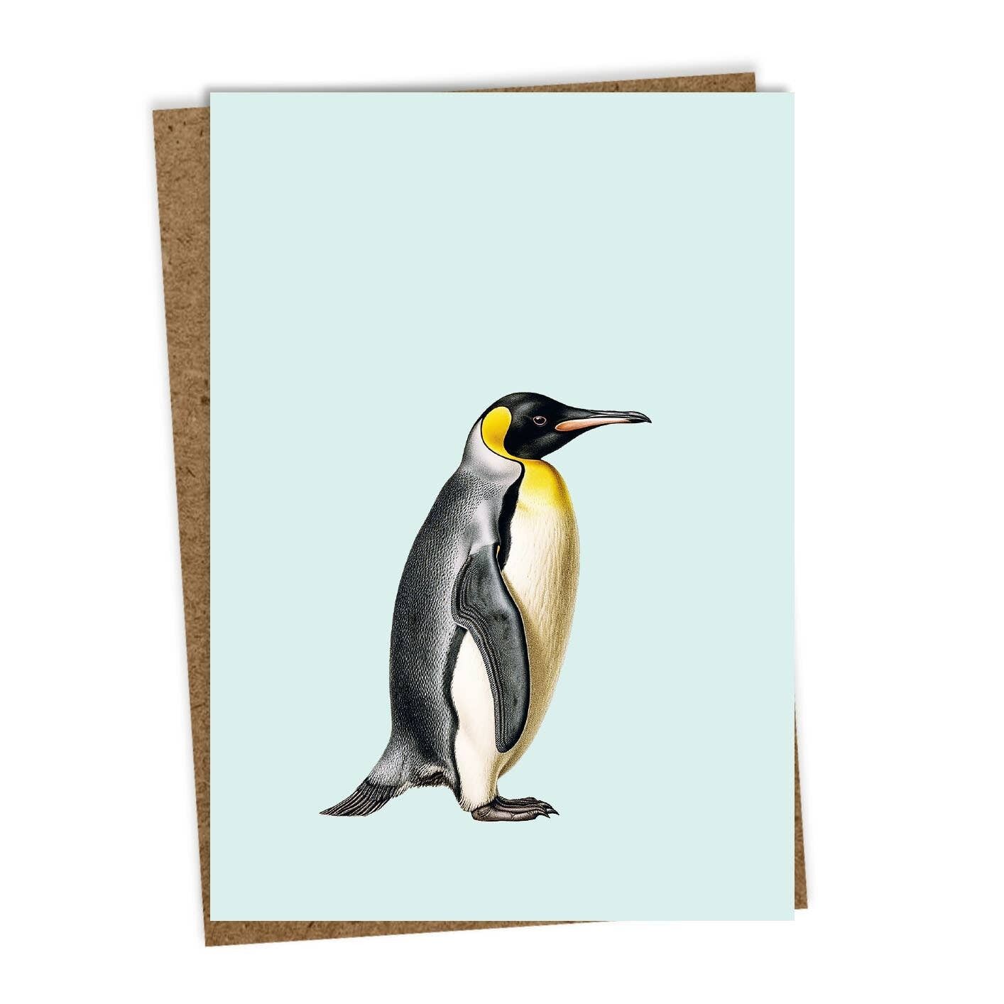 Biglietto d'auguri A6 Teresa (pinguino)