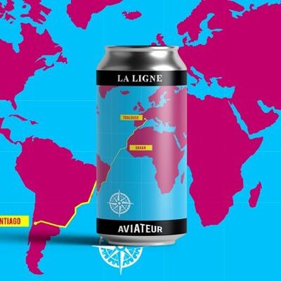 La Ligne - Bière acide Sour - Framboise Gingembre Citron Vert - Can 44cl - 6%