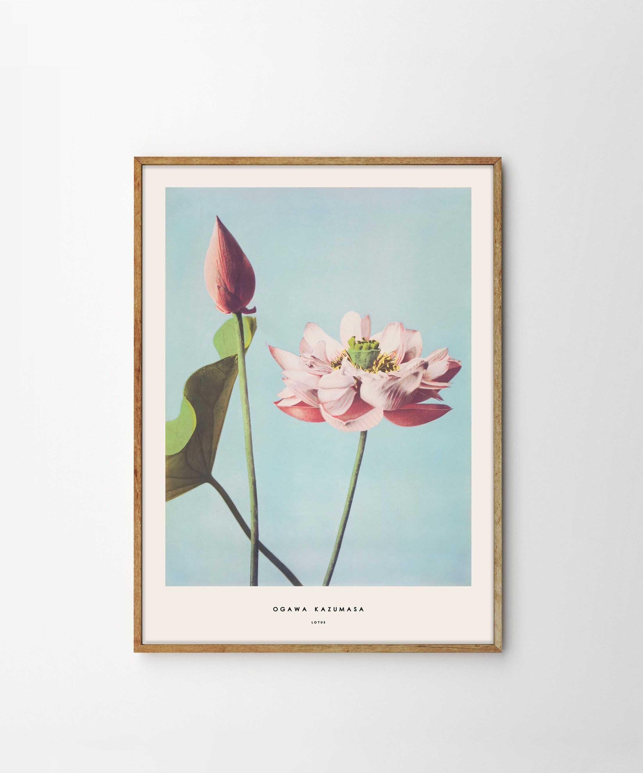 Ogawa Kazumasa, Loto