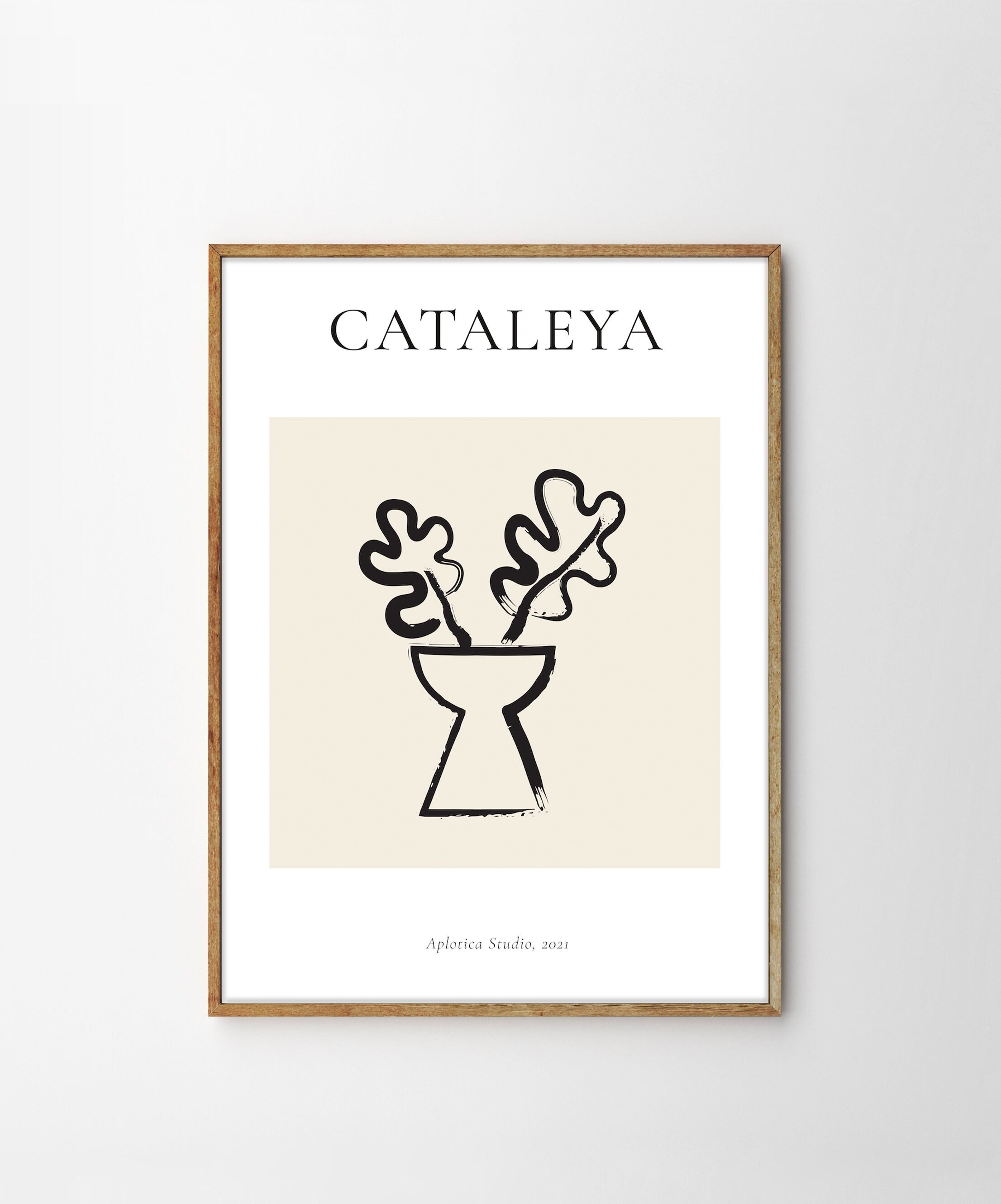 Bastien Bouta, Cataleya