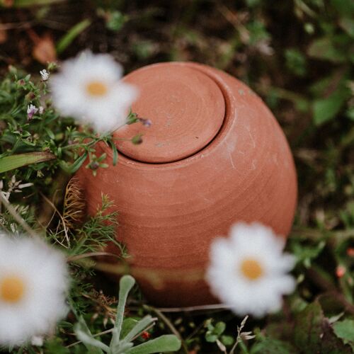 Mini ollas à planter - nature