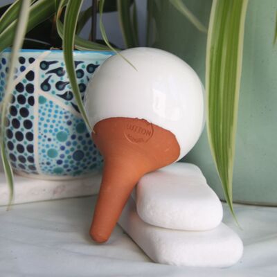 Mini ollas à planter blanc - 25 cl