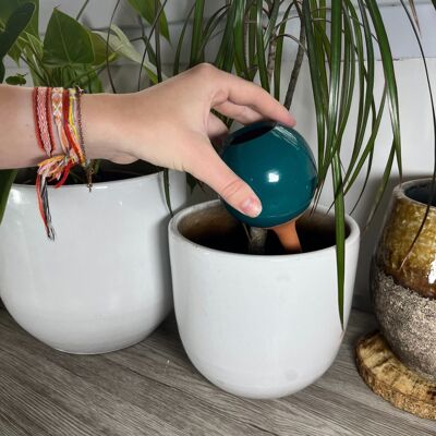 Mini ollas plantables azul pato - 25 cl