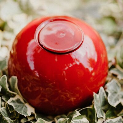 Mini ollas à planter rouge - 25cl