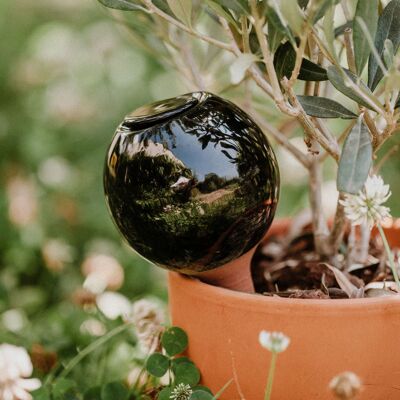 Mini ollas to plant - midnight blue / black