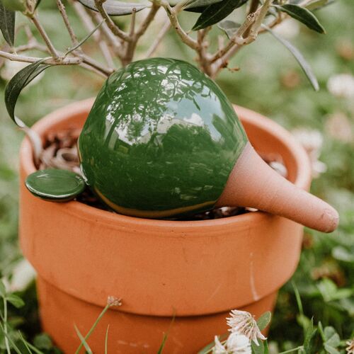 Mini ollas à planter - vert