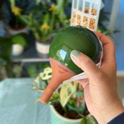 Mini ollas para plantar verde - 25 cl
