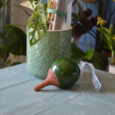 Mini ollas para plantar verde - 25 cl