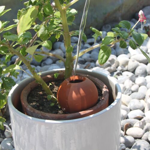 Ollas à planter nature - 40cl