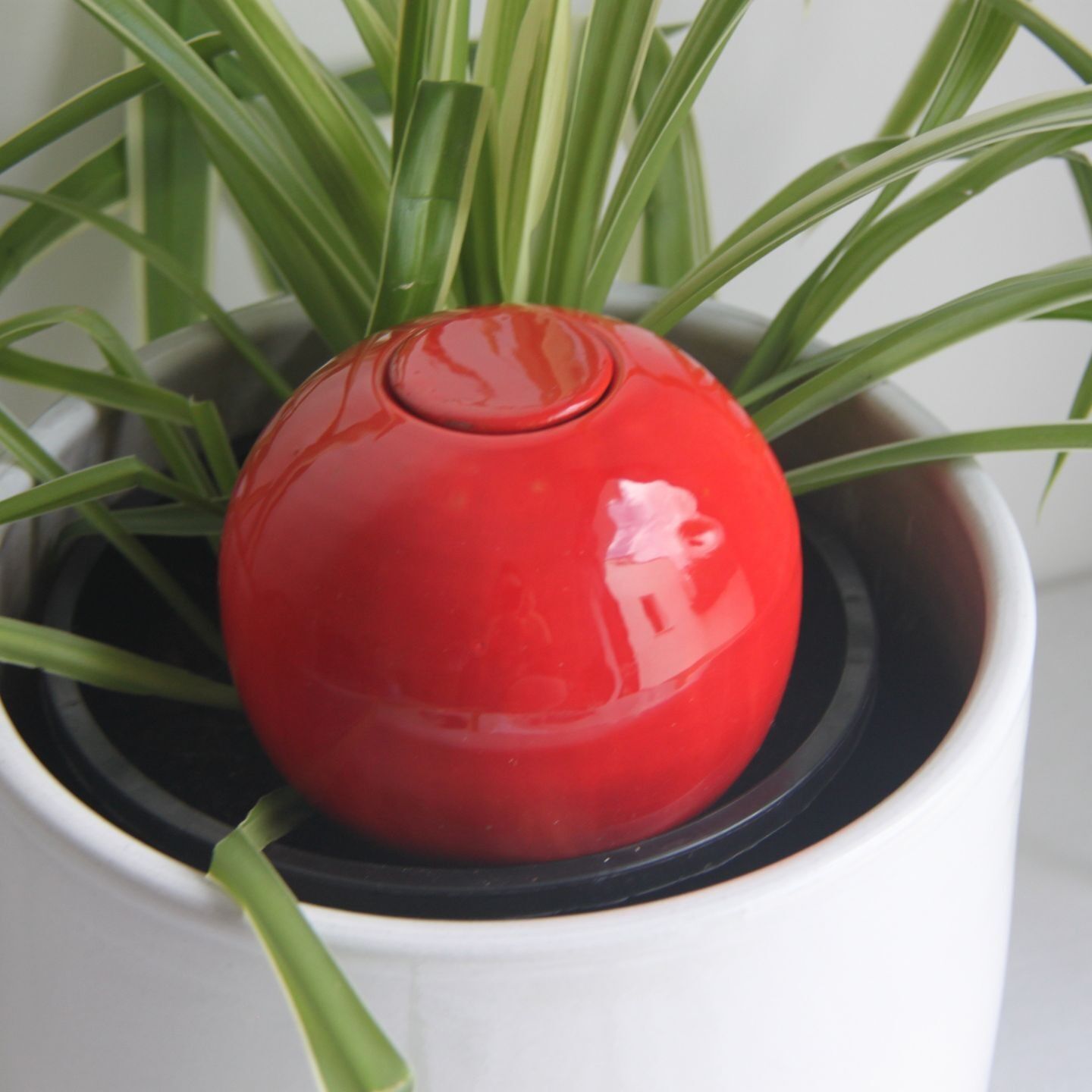 Ollas rosse piantabili - 40 cl