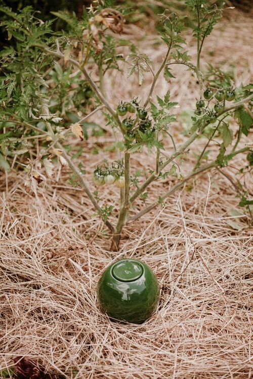 Ollas à planter - vert