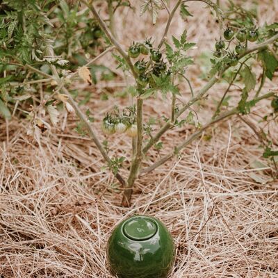 Ollas à planter - vert