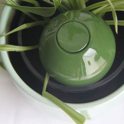 Ollas à planter vert - 40 cl