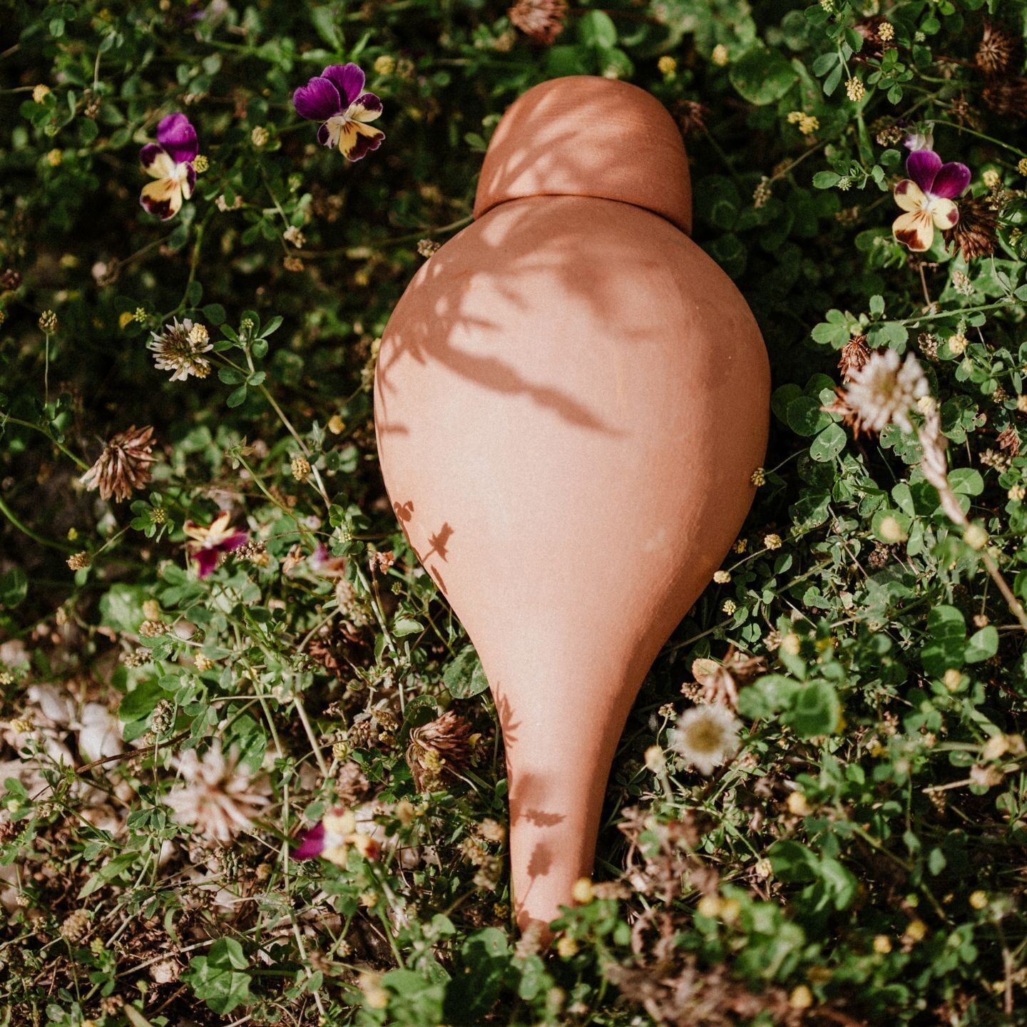 Ollas Sabeur per piantare naturale - 40 cl