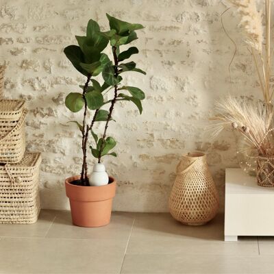 Ollas Sabeur à planter blanc- 40 cl