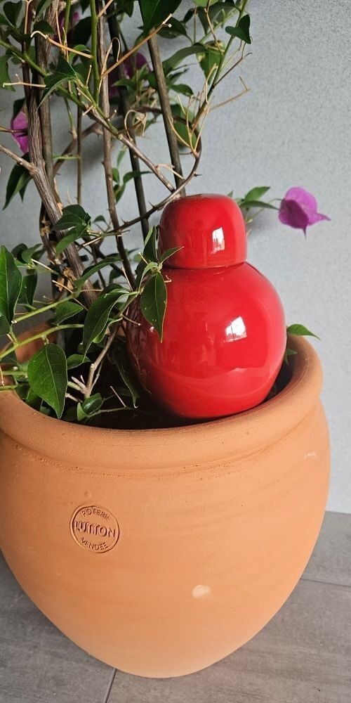 Ollas Sabeur à planter - rouge